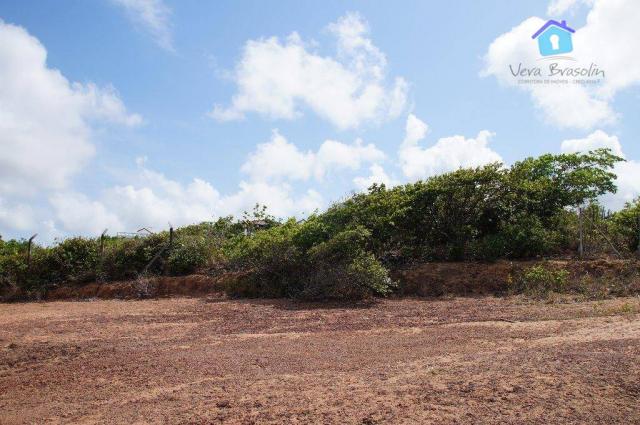 Terreno com vista panorâmica para o mar, barra de gramame, conde. - Foto 3