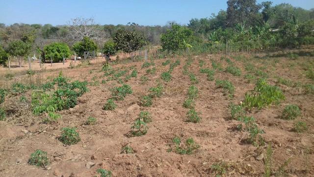 Vendo lote - Foto 3