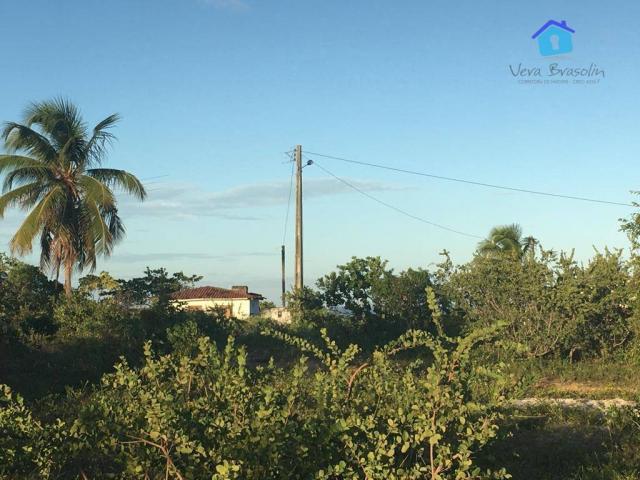 Promoção - lote 12 x 30 parcelado! - Foto 12