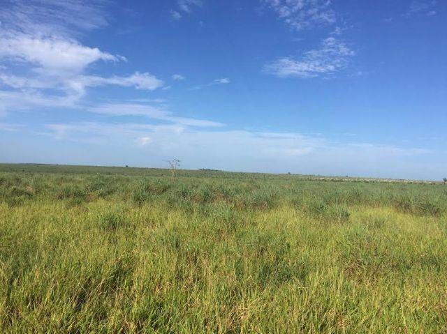 Fazenda c/ 1.700he c/ 80% formados, dupla aptidão, Itiquira-MT, pego 50% em imóvel no PR