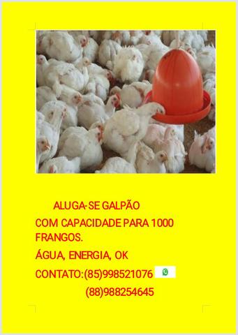 Mombaça -ce aluga-se uma granja ou p outros tipos de comércio