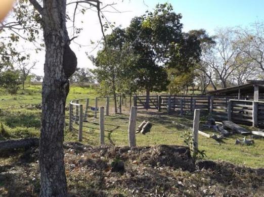 Sitio c/ 48he c/ 80% aberto, porteira fechada, N S Livramento-MT, faz troca