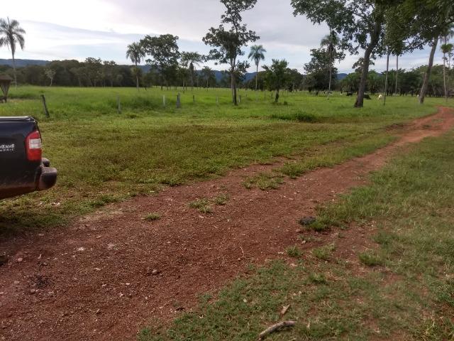 Fazenda com 200he, c/ 50% formado, terra de cultura, 40km de Cuiabá-MT - Foto 5