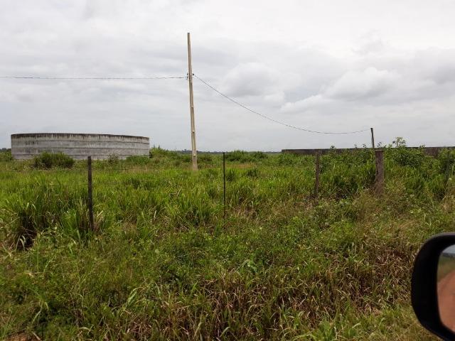 Fazenda 5.993 Hectares Dupla Aptidão - Vila Rica - MT - Foto 3