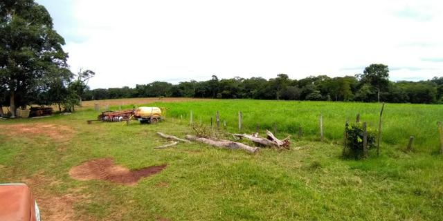 Fazenda com 686he, c/ 350He formado, terra boa, 30km antes Guiratinga-MT - Foto 3