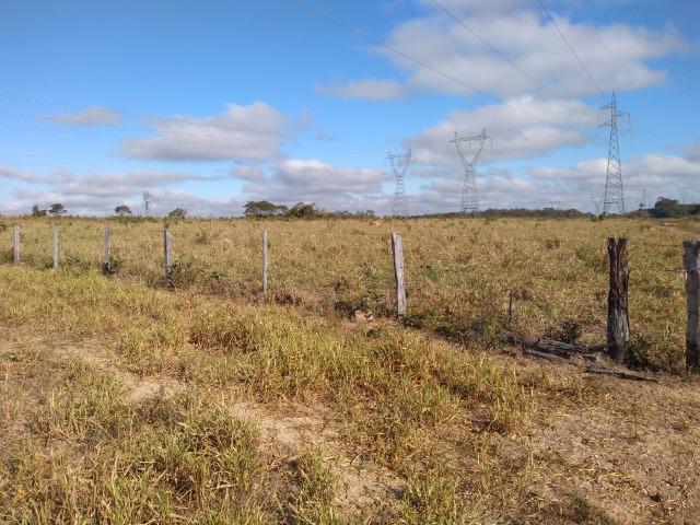 Fazenda c/ 920he, com 600he formados, as margens da BR, a 35km de Cuiabá-MT - Foto 13