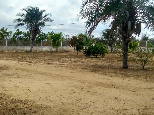 Chácara.sítio .a venda - Foto 6