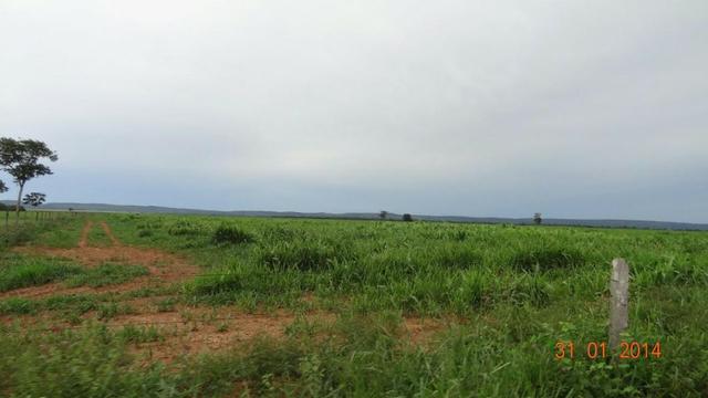 Fazenda c/ 4.500he, C/ 80% aberto, parte faz lavoura, Nova Xavantina-MT - Foto 12