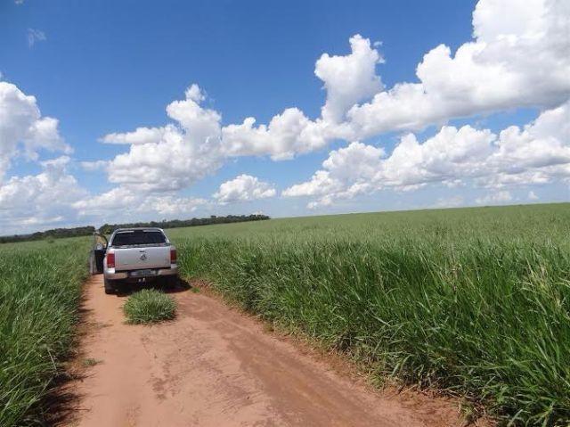 Fazenda c/ 7.180he c/ 80% formado, dupla aptidão, Ouro Branco-MT - Foto 9