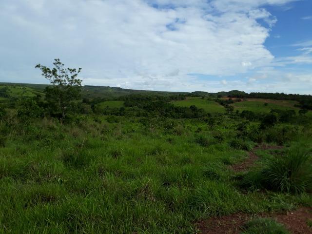 Fazenda c/ 912he, 550he formados, Terra boa, Itiquira-MT - Foto 13