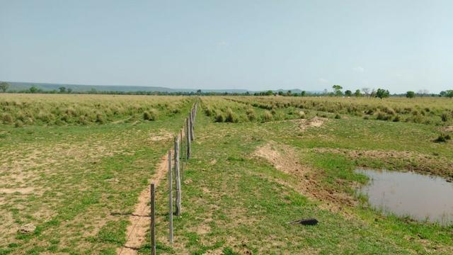 Fazenda c/ 1.000he, 620he formados, Itiquira-MT - Foto 9