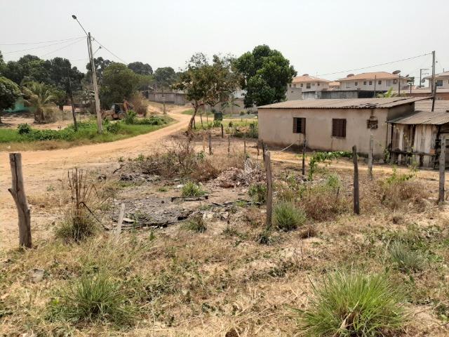 Lote Terreno - Imperdível - Foto 4