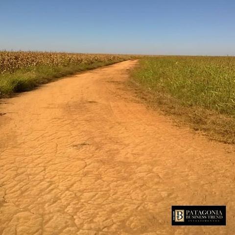 Fazenda Município Sorriso - Foto 4