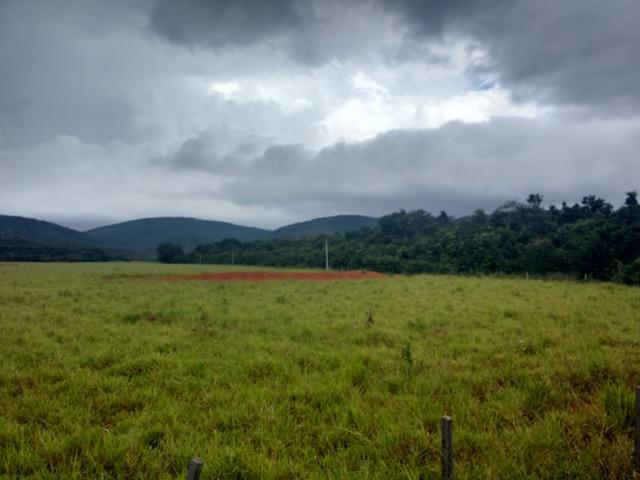 Fazenda 570 Hectares Grande Oportunidade - MT