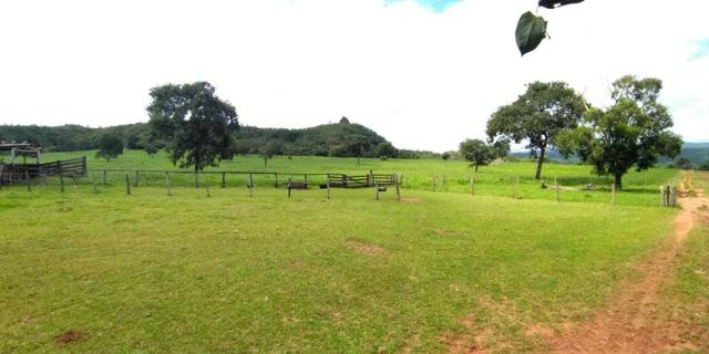 Fazenda com 686he, c/ 350He formado, terra boa, 30km antes Guiratinga-MT - Foto 7