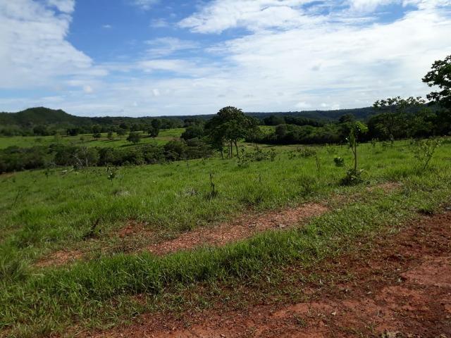Fazenda c/ 912he, 550he formados, Terra boa, Itiquira-MT - Foto 15