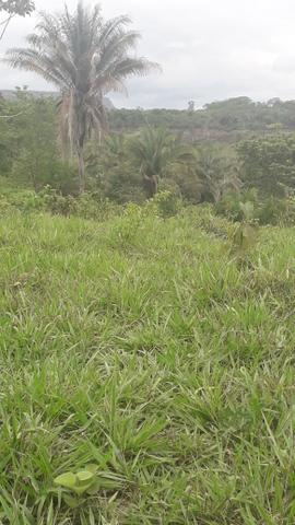 Vende se uma terra - Foto 2