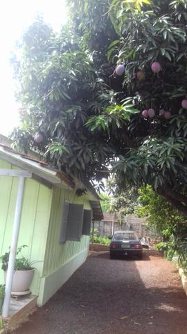 Vendo Terreno com casa Rua Paraná 462,5m² próximo a Prefeitura - Foto 7