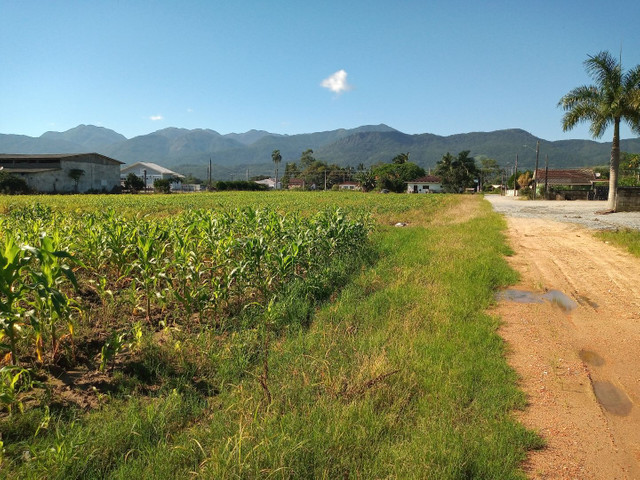 Terreno 3,6 hectares - Santo Amaro da Imperatriz