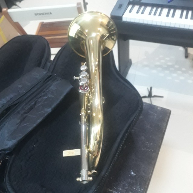 FluguelHorn Sib Michael novo - Foto 3