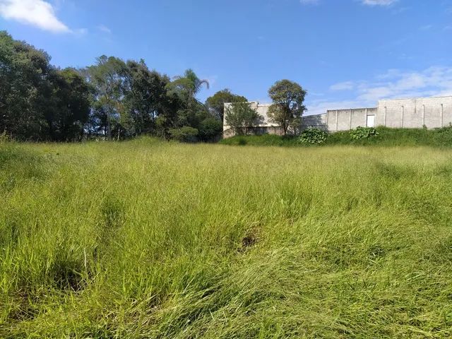 Lote próximo o trevo , Quitandinha  - Foto 4