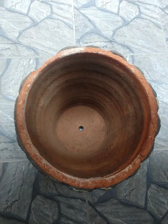 Vaso Português - Foto 6