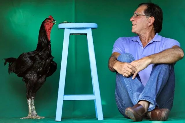 Índio Gigante GO - Foto 6