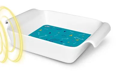 Refratária Fall para Lasanha