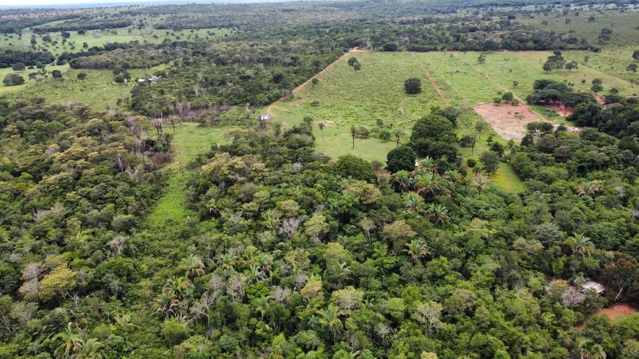 Chácara com área verde em local tranquilo
