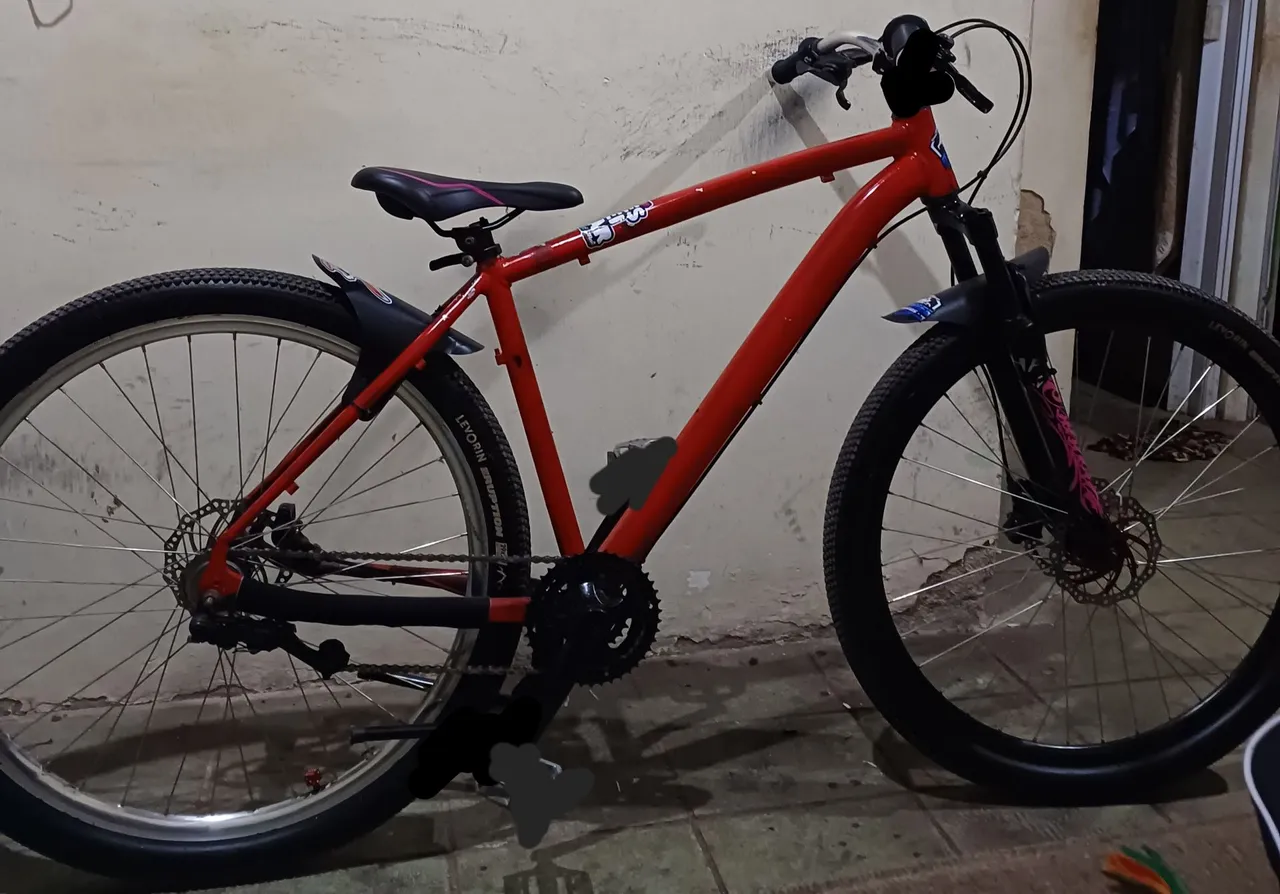 BICICLETA ARO 29 MONTADINHA