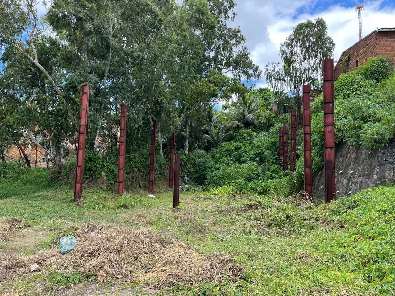 Terreno na BR 232 excelente para galpão  - Foto 3