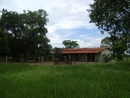 Fazenda 34.440 Alqueires, Rica em Água com 40 Represas, 40 Lagos e Rio Cortando a Propried - Foto 2