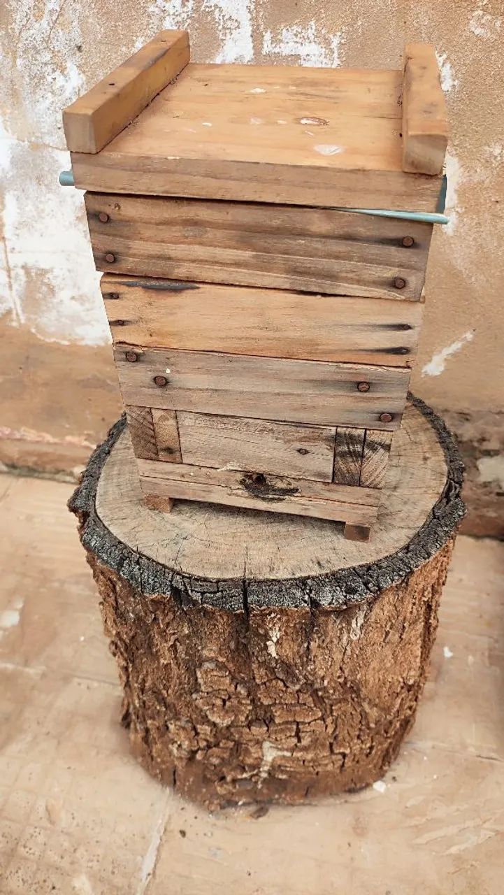 Caixa para abelha Jataí 