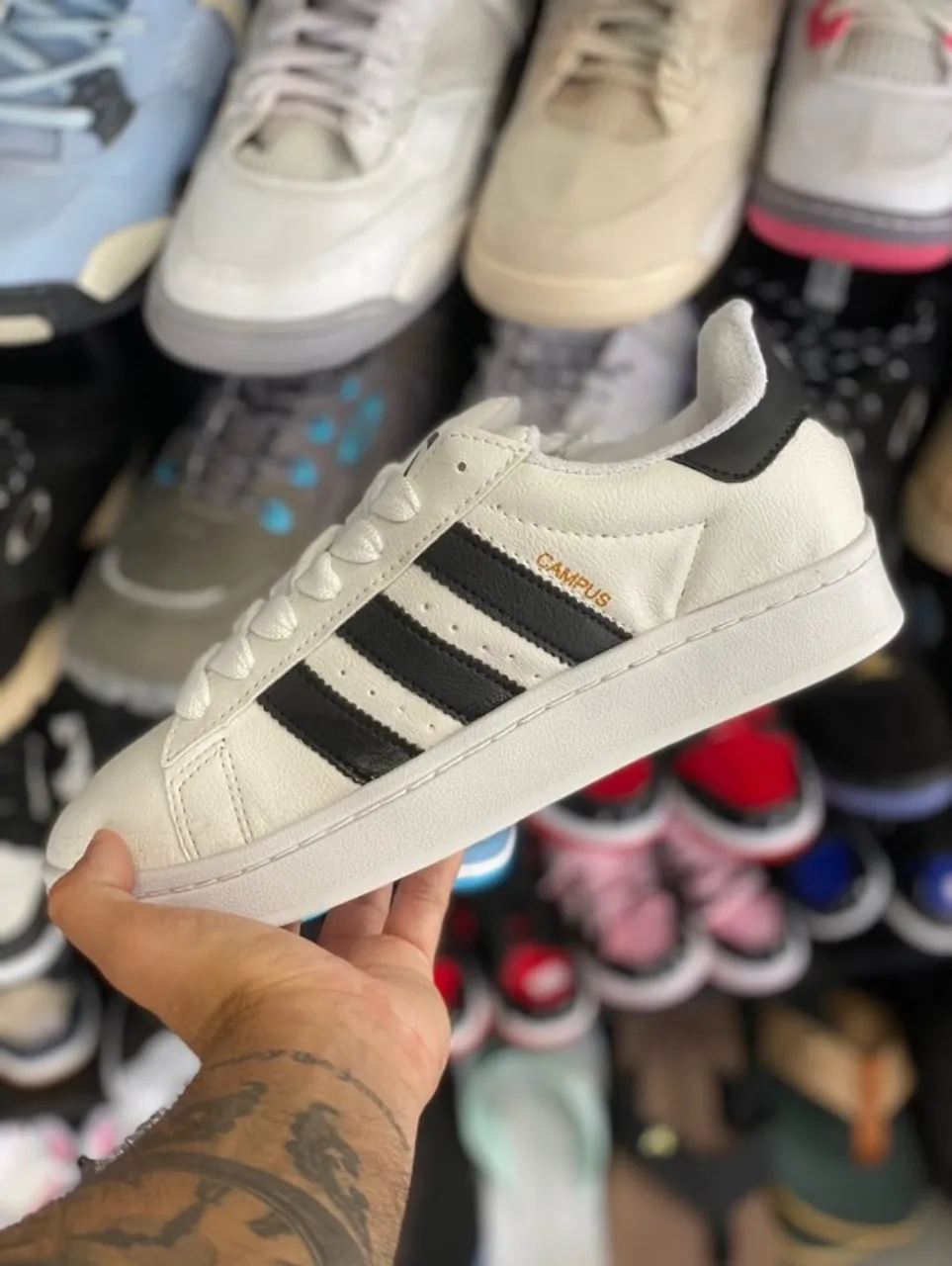Adidas Campus - Premium