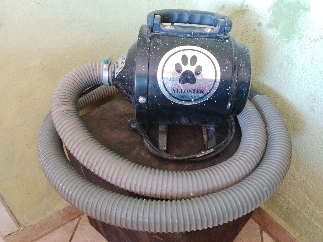 Secador de Pelo para Cães Veloister Pet Line