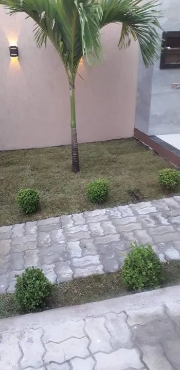 Diego Jardins - Foto 4
