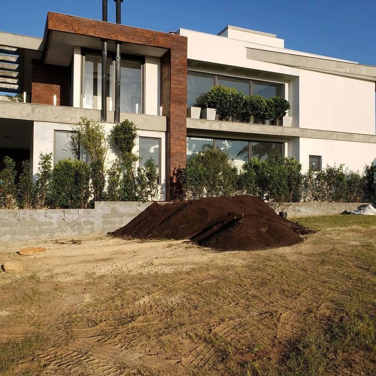 Substrato para Plantas - Foto 4