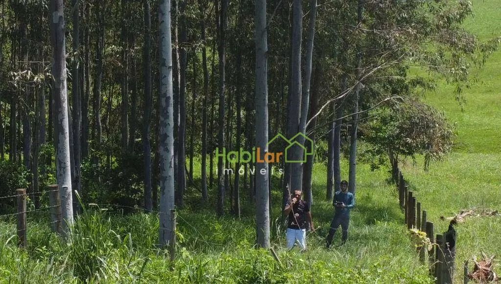 Sítio à venda, 338800 m² por R$ 1.400.000 - Zona Rural - Macaubal/SP - Foto 3