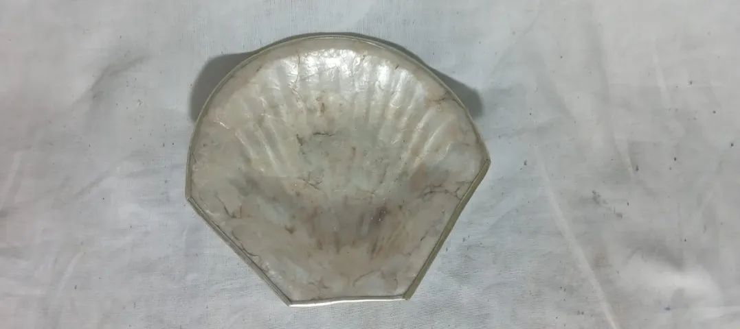Decoração com Concha feita de madrepérola com uma borda
