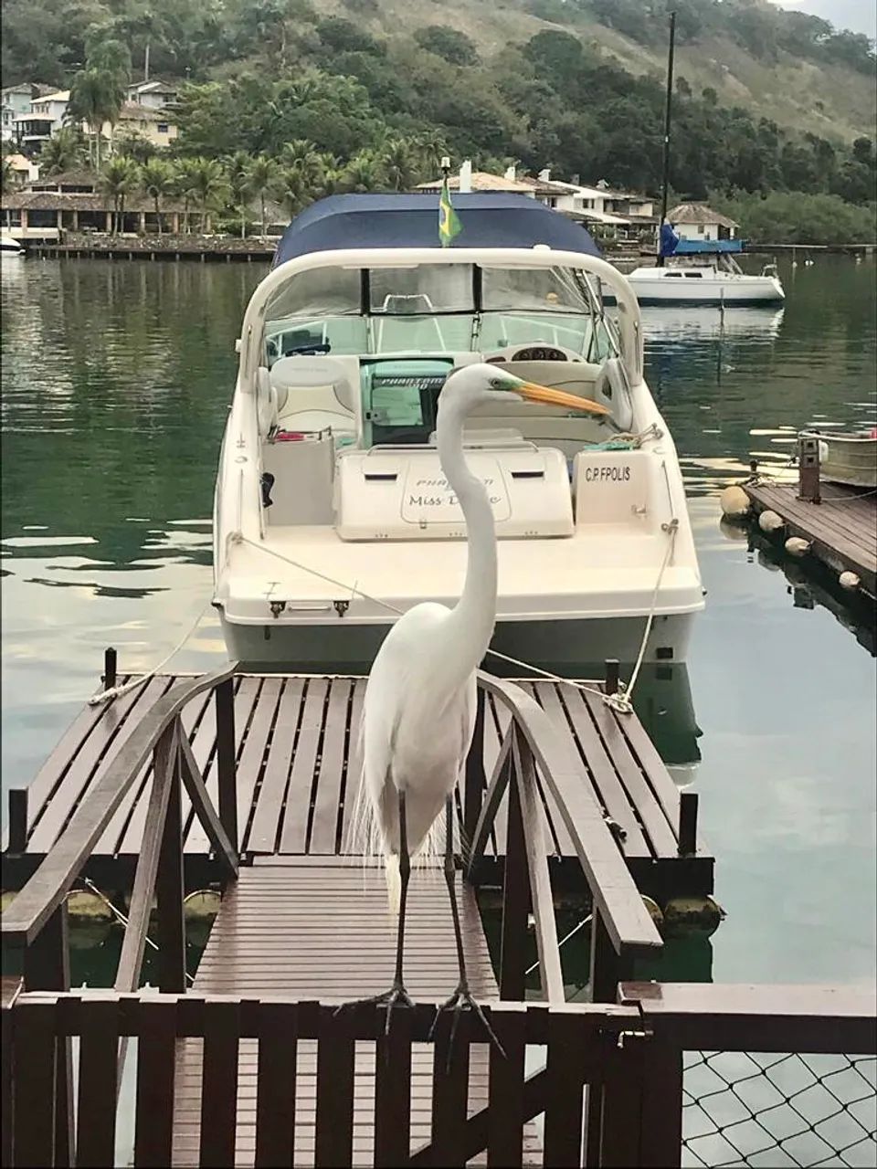 Lancha Phantom 290 2004 - motor Volvo 5.7Gxi 320 HP  - Foto 10