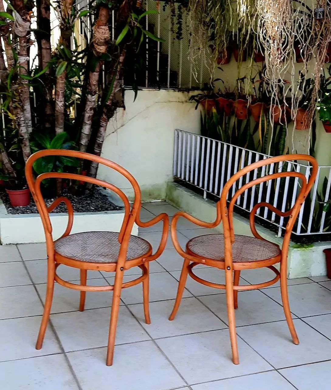Par de Cadeiras de Braços Thonart Modelo Thonet - Foto 4