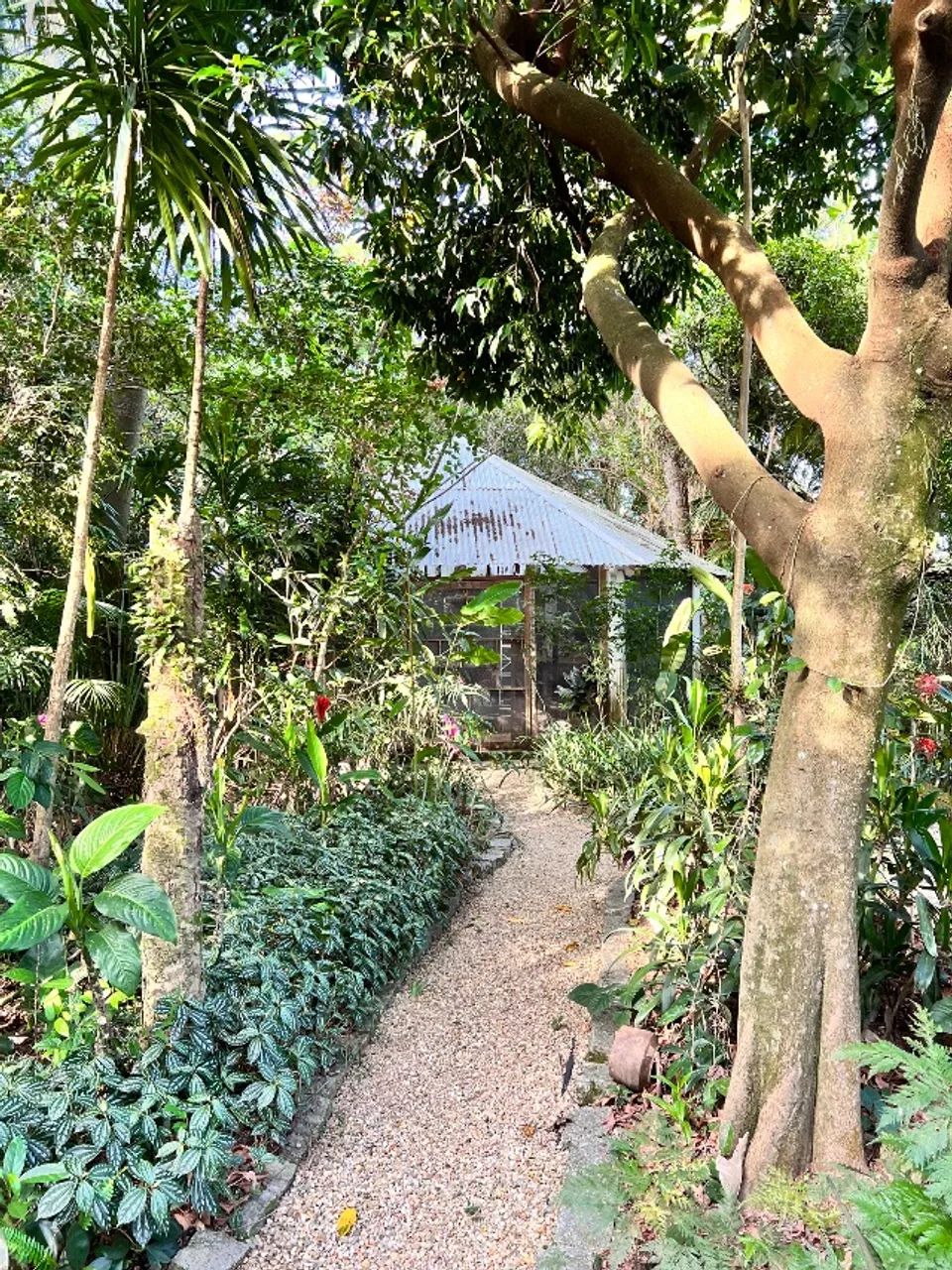 Sítio (Chácara) em Palhoça - Foto 7