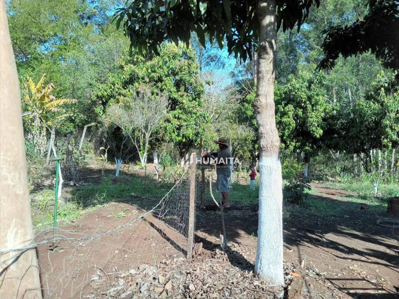 Chácara Urbana à venda, 1600 m² - Jataizinho/Paraná - Foto 5
