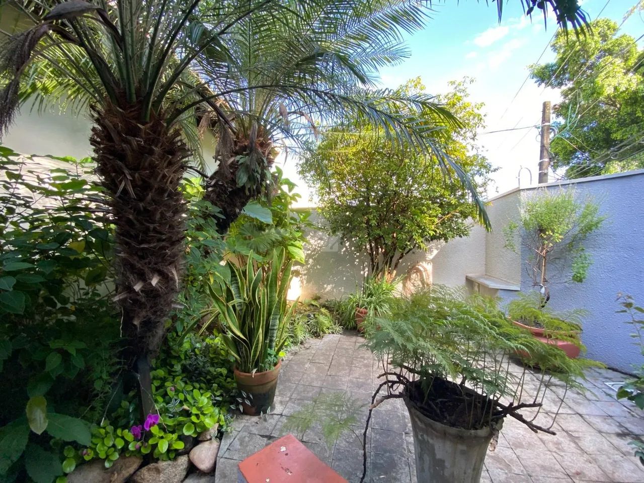 casa - Jardim Paraíso - Campinas - Foto 4