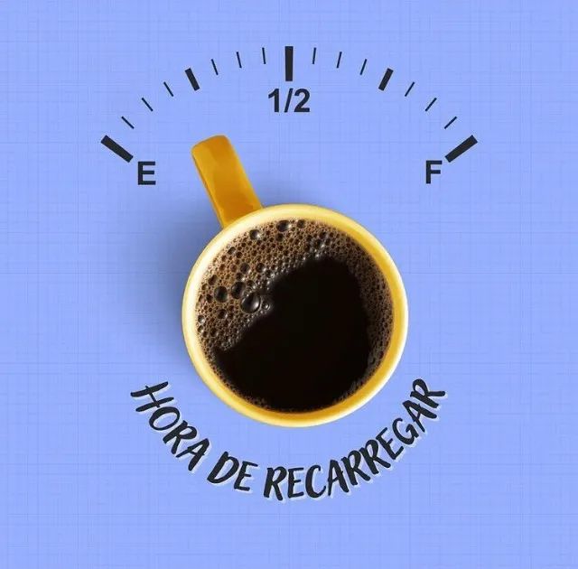 torrefação de café - Foto 4