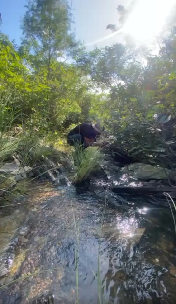 Chácara a venda na rodovia da chapada em Cuiabá