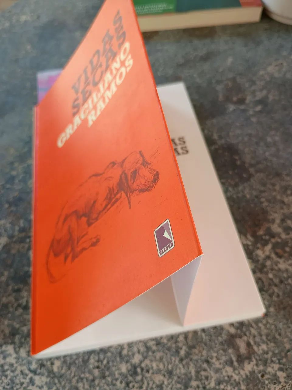 Livro vidas secas de Graciliano Ramos 