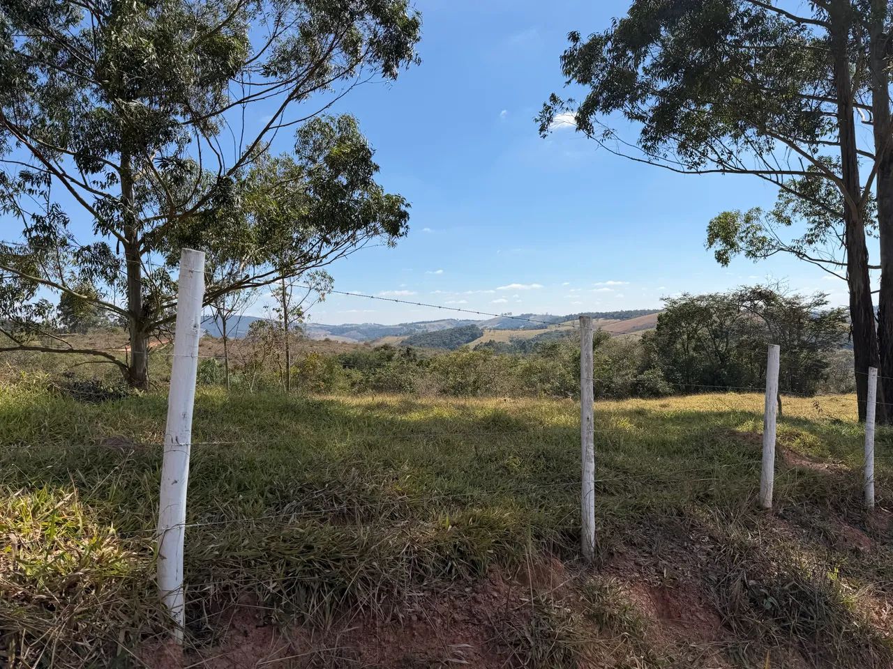 Terreno de 5.000 m2 em Piedade dos Gerais MG - Foto 3
