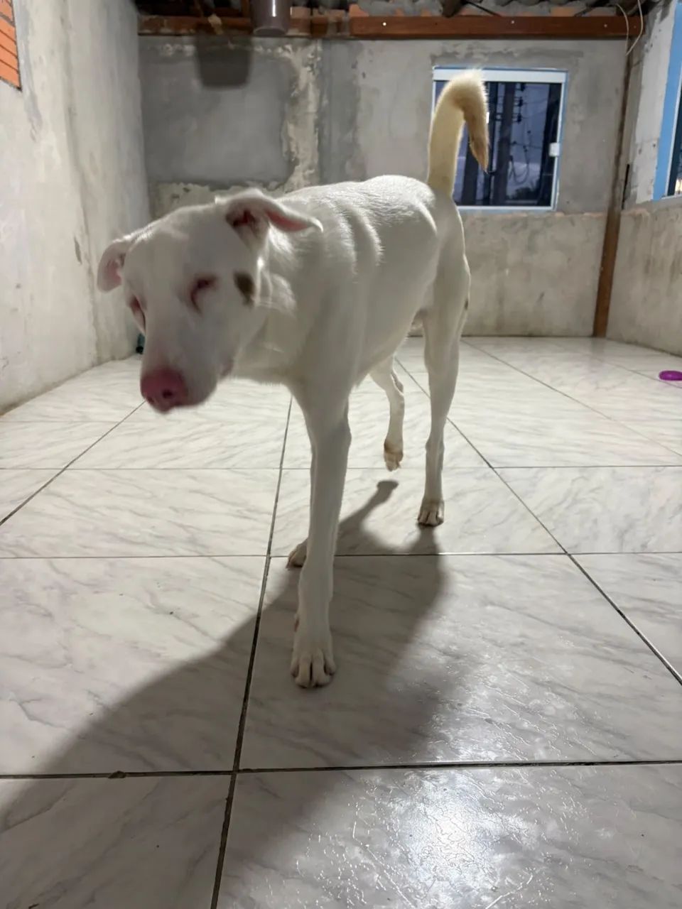 Doação  - Foto 3