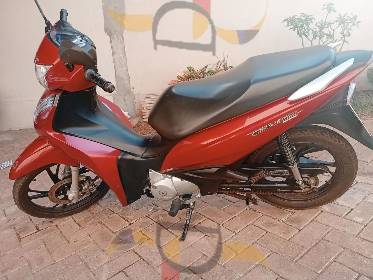Biz 2021Ex flex - Foto 3